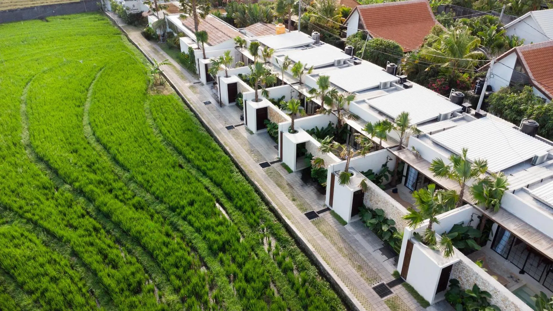 Villa Luuma 3 By Balisuperhost Seminyak 0*,